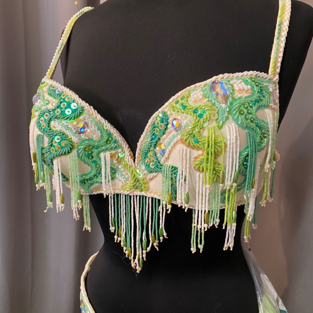 Professional Bellydance Costume - Picture 3 of 4